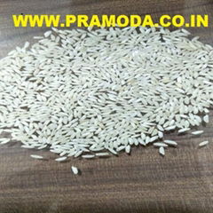 Swarna Rice ( short grain)