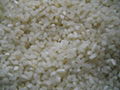 Broken Rice 1