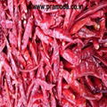 Red Chilies