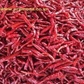 Dried Red Chilies