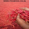 Dried Red Chilies 4