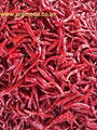 Dried Red Chilies ENDO 5