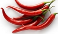 Indian green chilli 3