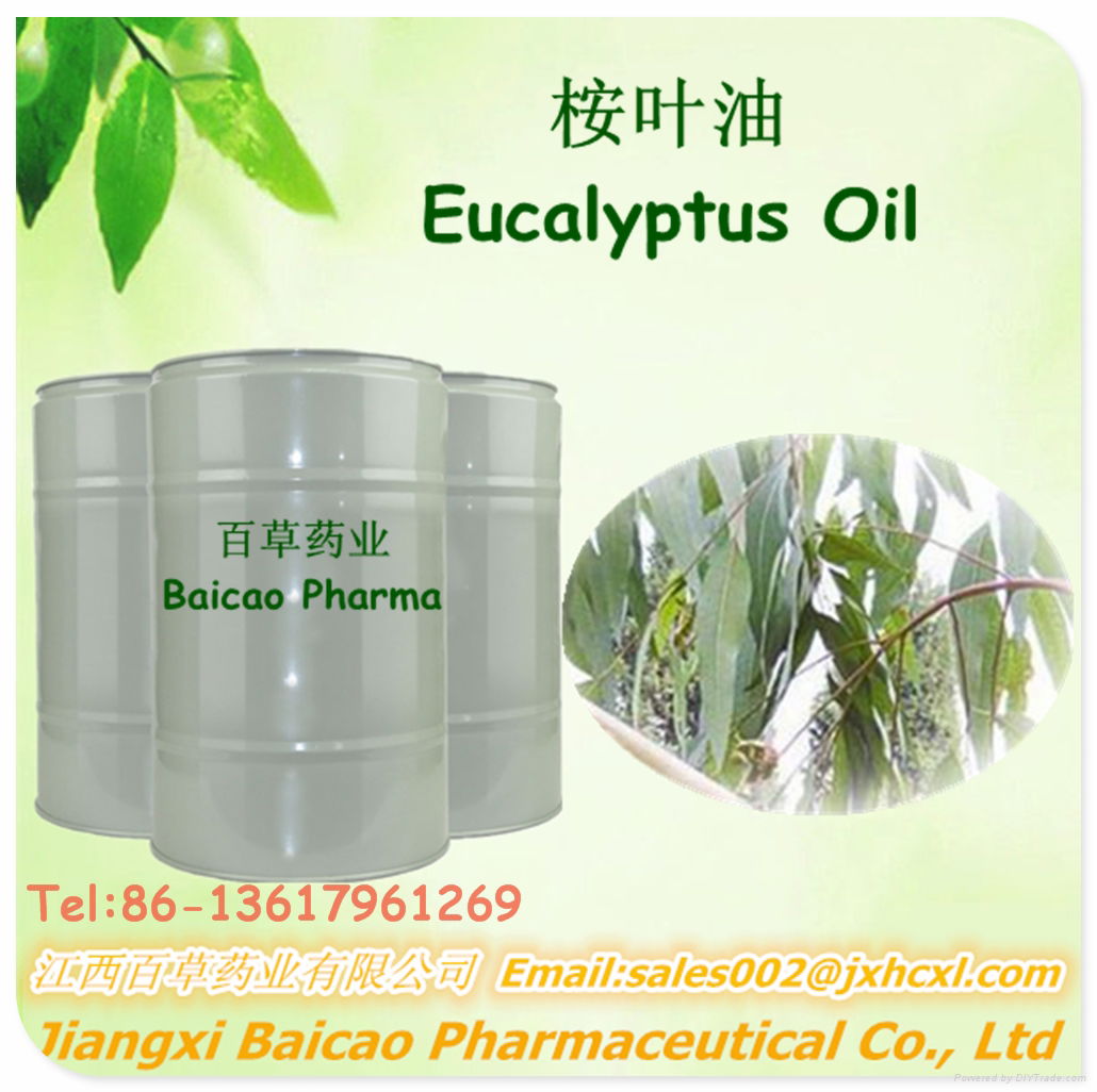 100% Pure Natural Eucalyptus Oil GMP Standard 3