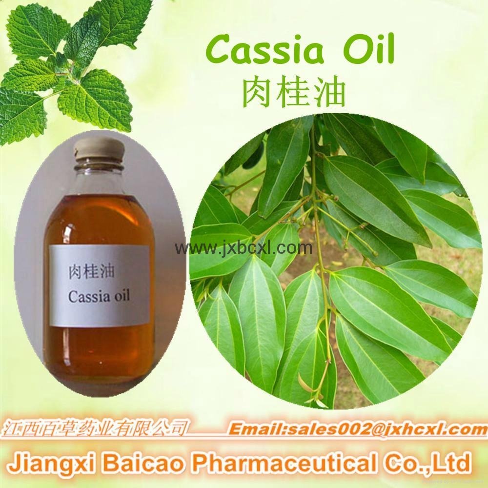 Natural Pure Cassia oil Cinnamon oil For Exporting 2