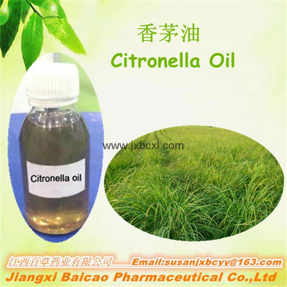 Manufacturer supply natural pure Citronella oil for repeling mosquito