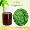 Oregano oil with Carvacrol for Feed additives 4