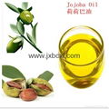 Pure Natural Pine needle oil for Capsule Health care applcation