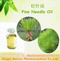 Pure Natural Pine needle oil for Capsule