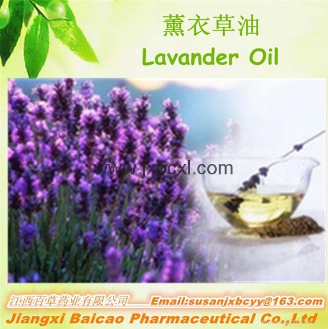 Natural Pure Lavender oil In Bulk 3