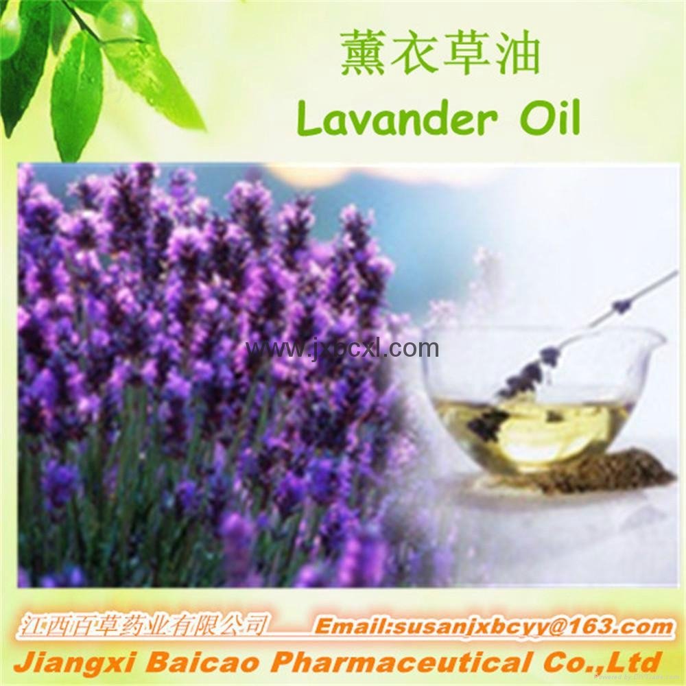 Natural Pure Lavender oil In Bulk 4