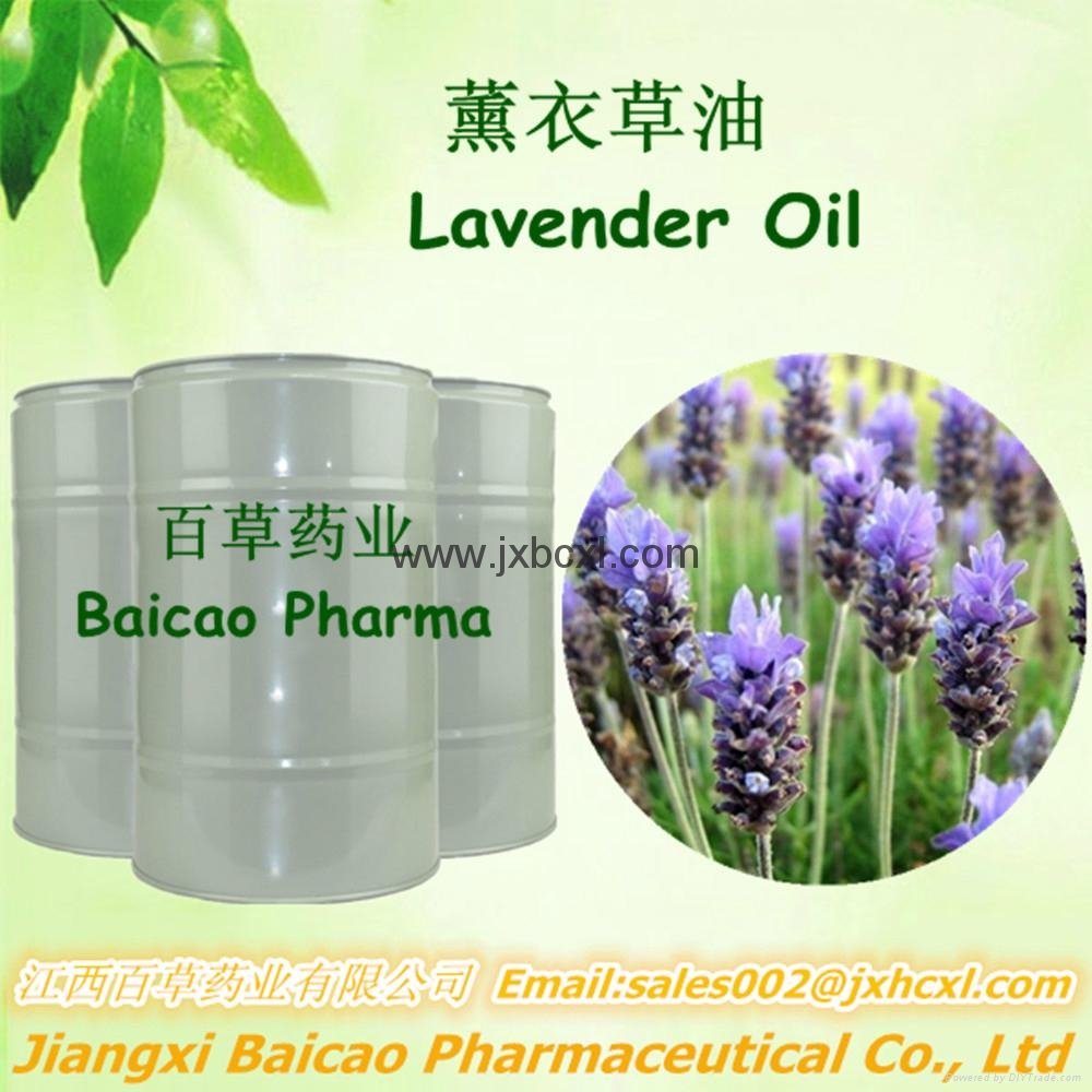 Natural Pure Lavender oil In Bulk 5