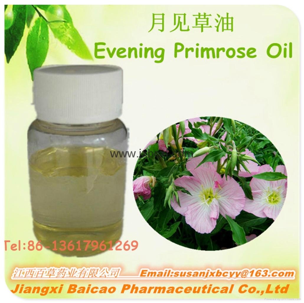 Natural Evening Primrose Oil GLA for Health care capsule application