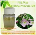 Natural Evening Primrose Oil GLA for