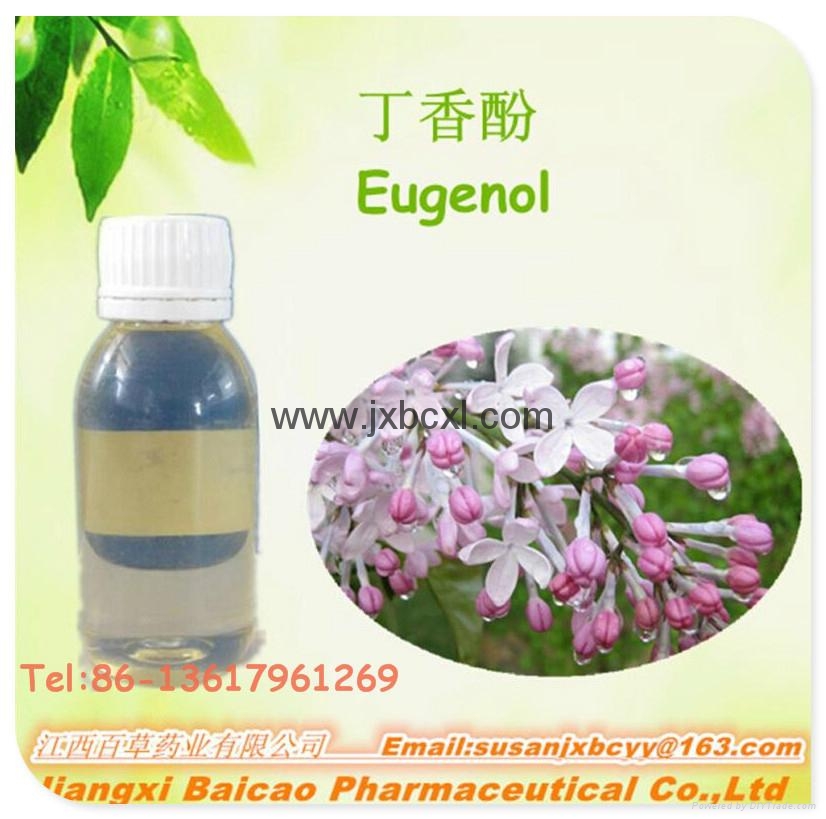 GMP Specialized Natural Star Anise Oil Aniseed Oil Natural