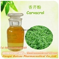 Pure Oregano oil with carvacrol for feed additive 2