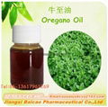 Pure Oregano oil with carvacrol for feed additive 5