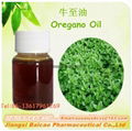 Pure Oregano oil with carvacrol for feed additive