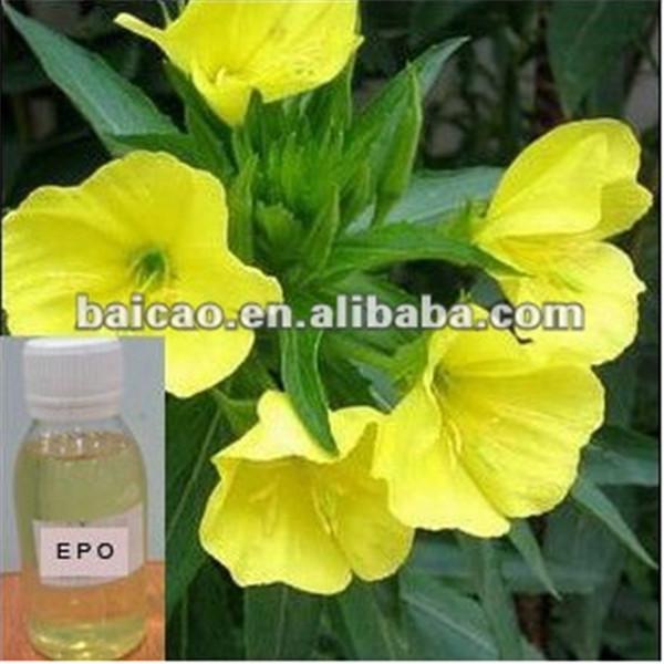 Natural Evening Primrose Oil GLA for Health care capsule application