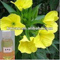 Natural Evening Primrose Oil GLA for Health care capsule application 2