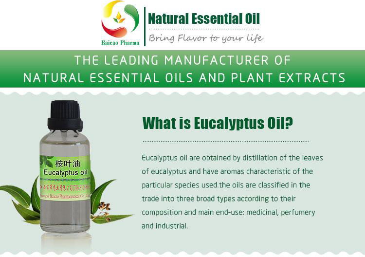 Factory Supply Natural Eucalyptus oil/ Eucalyptol