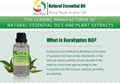 Factory Supply Natural Eucalyptus oil/