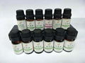Popular Essential Oil Kits in 10ml package essential oil gifts