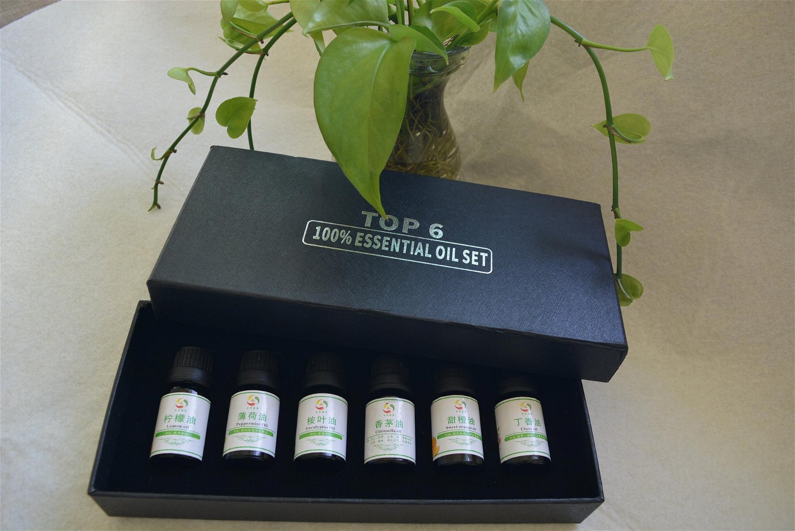 Popular Essential Oil Kits in 10ml package essential oil gifts 4