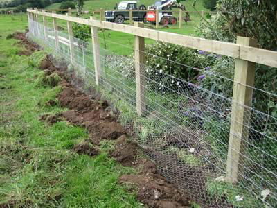 Garden Used Chicken Wire 5