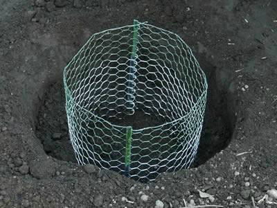 Gopher Control Wire Mesh 4
