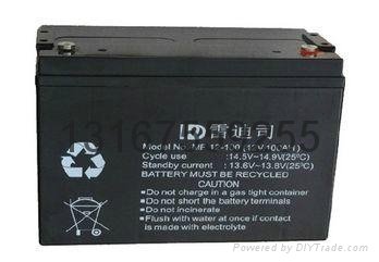 雷迪司蓄电池12V100AH