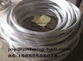 high carbon Galvanized Steel Wire for Fishing Net  factory 18 Gauge 19gaue