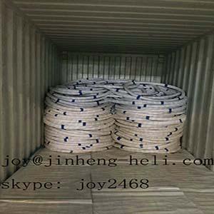 Galvanized Steel Wire for Fishing Cage /Net/trap 4