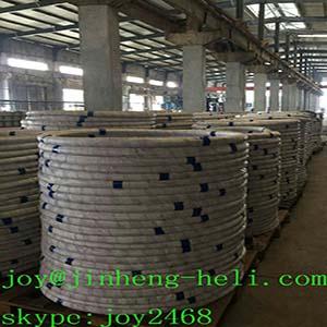 Galvanized Steel Wire for Fishing Cage /Net/trap 5