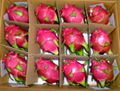 Dragon fruit 1