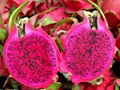 Dragon fruit 2