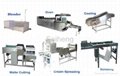 SH-45 fully automatic wafer biscuit production line 2
