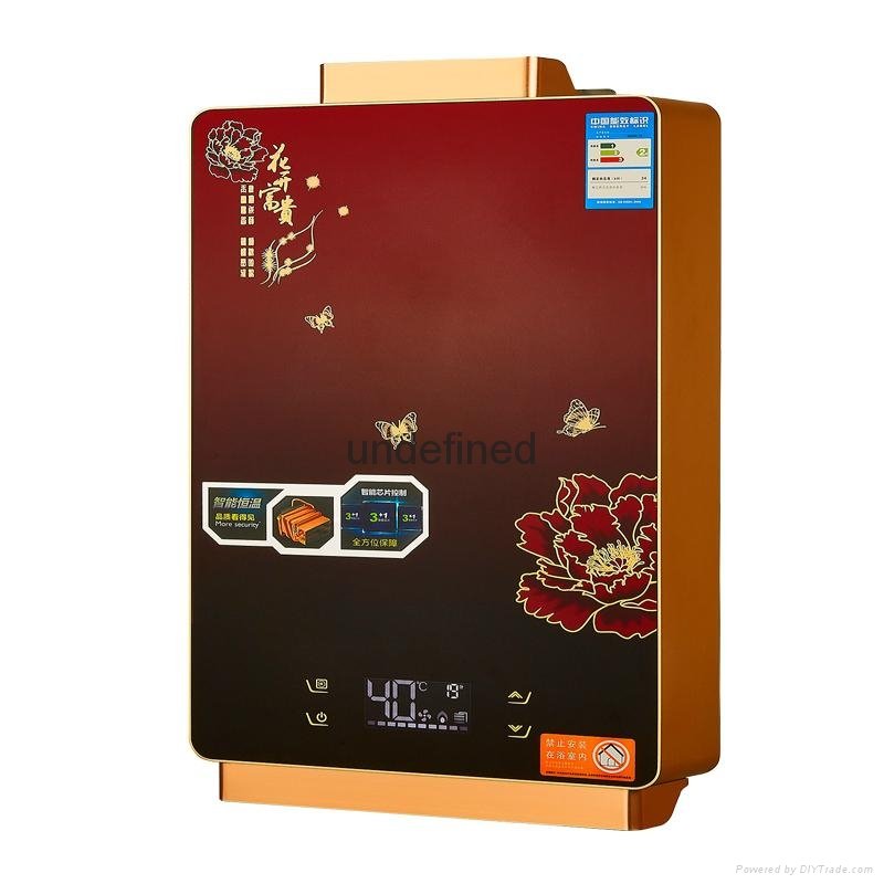 Front row electric water heater natural gas liquefied gas electric   constant  5