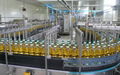 Sunflower Oil Russia Origin