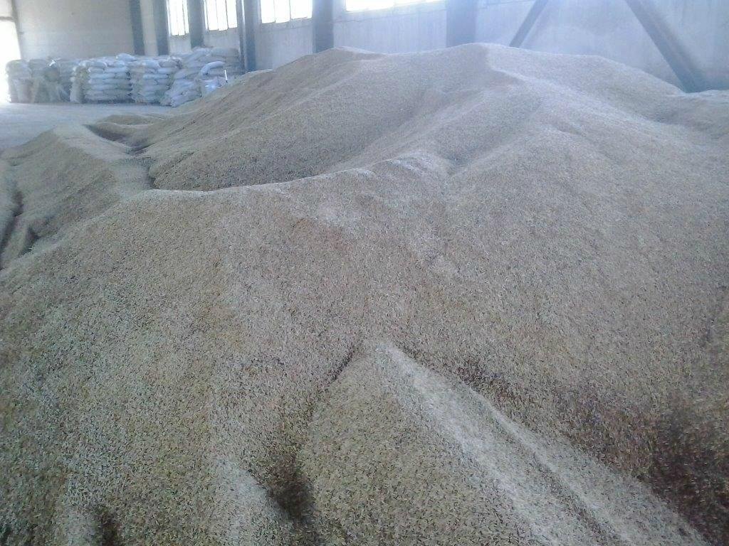 Wheat Bran (Russia Origin)