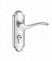 China Zinc Alloy Anti-theft Mortise Door lock 5