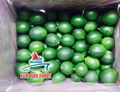 Seedless Lime 1