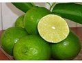 Seedless Lime 3