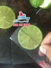 HIGH QUALITY SEEDLESS LIME