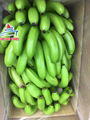 FRESH BANANA FROM VIETNAM 1