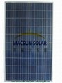 	300W Poly Crystalline Solar Panels 1