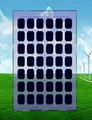  BIPV Mono Crystalline Transparent Solar Modules