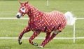 900D breathable ripstop horse rug fabric/7mm plaid waterproof 3