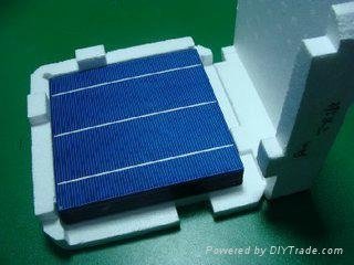 156mm Poly Crystalline Solar Cells