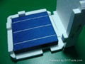 156mm Poly Crystalline Solar Cells 1